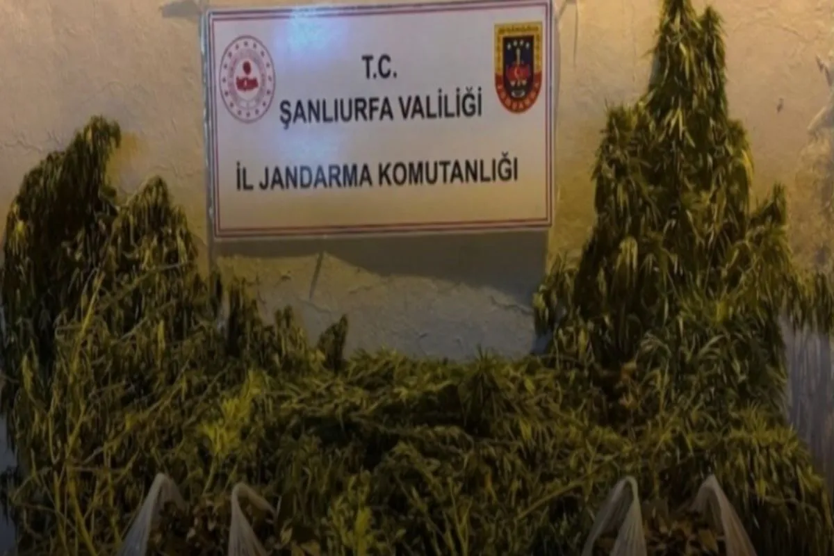 Eyyübiye’de Jandarmadan Uyuşturucu Operasyonu